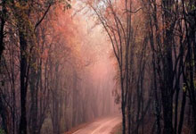 QQ老违规看人脸有没有重置？