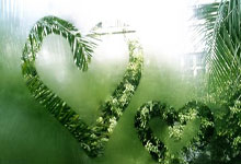 最新QQ钱包注销链接