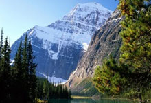 最新QQ钱包注销链接